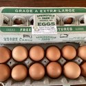 Local Eggs from Pastured Poultry